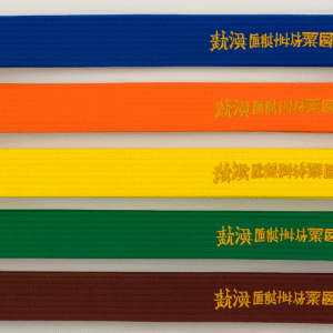KyokushinRyu (BELT)