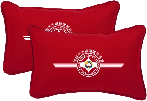 KyokushinRyu (Judge Pillow)