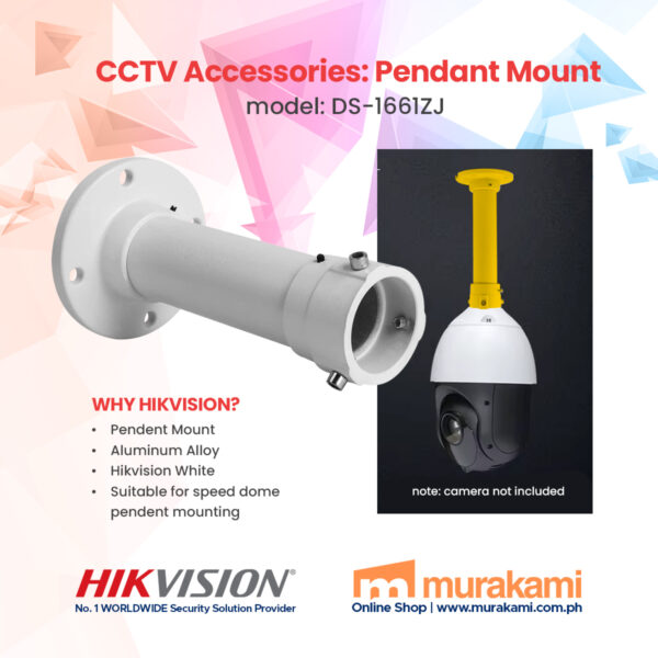 Hikvision	DS-1661ZJ Pendant Mount