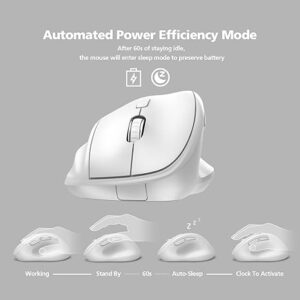 RF2.4G Wireless Mouse (MP-V01W)