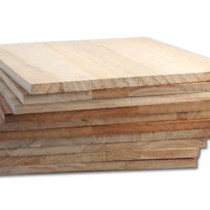 KyokushinRyu (Breaking Board)