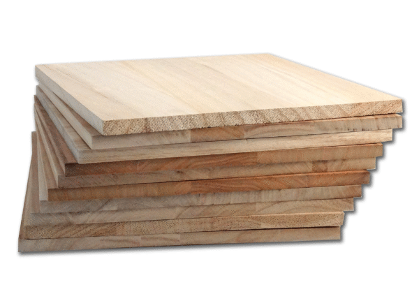 KyokushinRyu (Breaking Board)