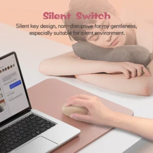 2.4G + Bluetooth Wireless Mouse (MS-201W)