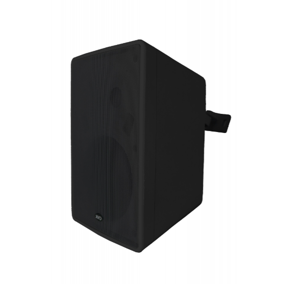 CMX (WSK-T30B) – Best 5.25" 2-Way Wall Mount Speaker for Professional PA & Audio Systems - Image 2