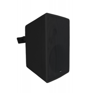 CMX (WSK-T30B) – Best 5.25" 2-Way Wall Mount Speaker for Professional PA & Audio Systems