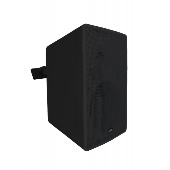 CMX (WSK-T30B) – Best 5.25" 2-Way Wall Mount Speaker for Professional PA & Audio Systems